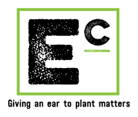 gallery/logo_transparent_background